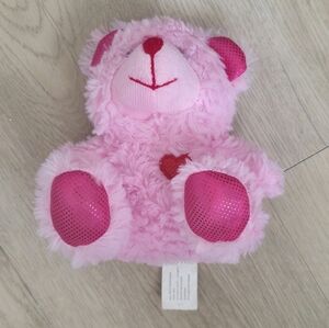 Pink Plush Teddy Bear
